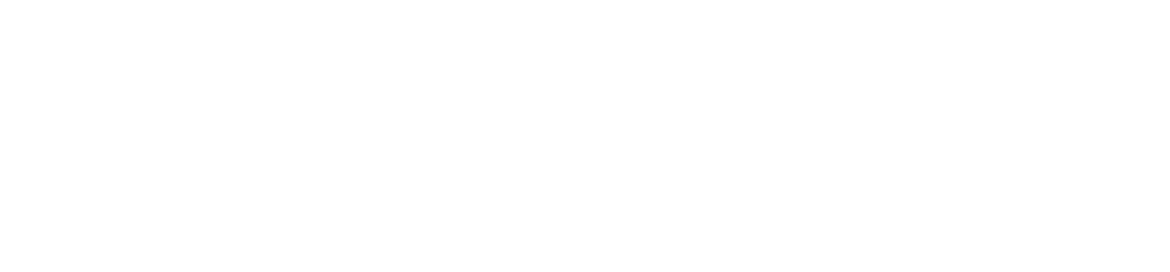 Nereida logo